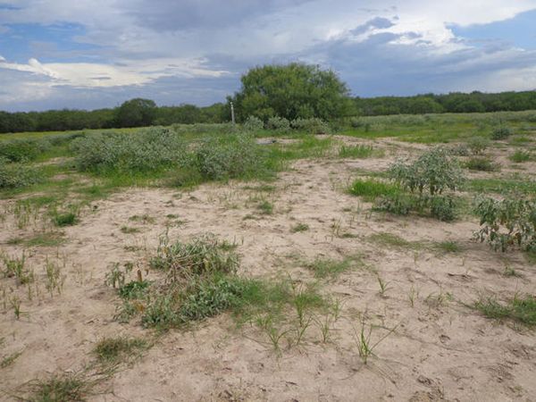 Землянка на случай апокалипсиса (33 фото)