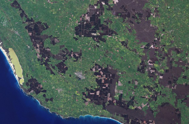 10 тайн мира, которые наука, наконец, раскрыла 10 тайн мира, которые наука, наконец, раскрыла