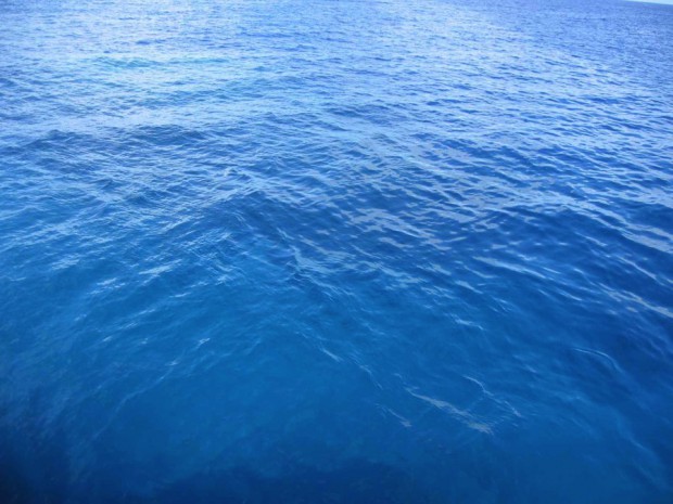 10 тайн мира, которые наука, наконец, раскрыла 10 тайн мира, которые наука, наконец, раскрыла