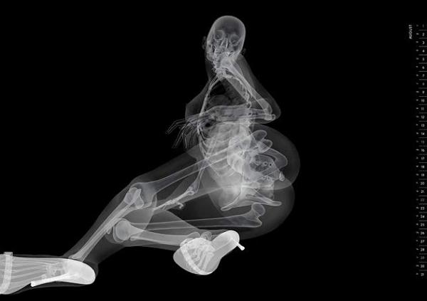 Эротический календарь, на котором видно вообще всё