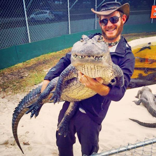 Зрелищные фото, не нуждающиеся в комментариях