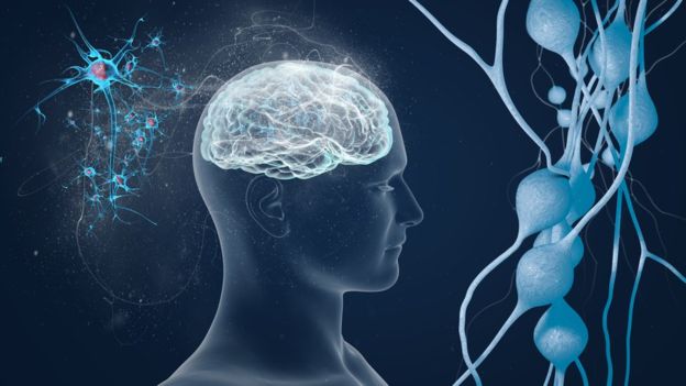 Любопытное о боли Любопытное о боли