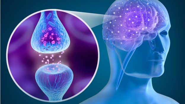 Любопытное о боли Любопытное о боли