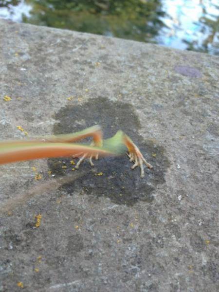 Фото, сделанные в оптимальный момент