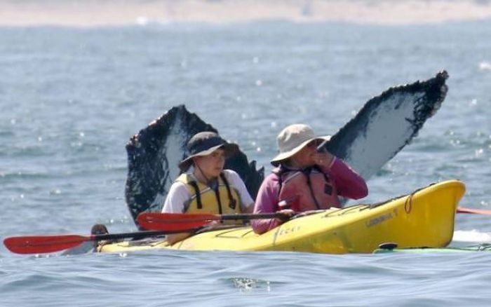 Фото, сделанные в оптимальный момент