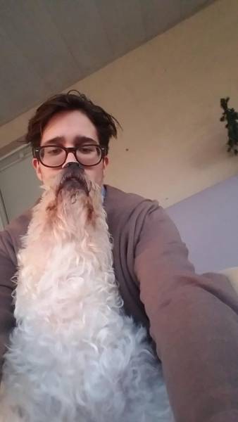 Фото, сделанные в оптимальный момент