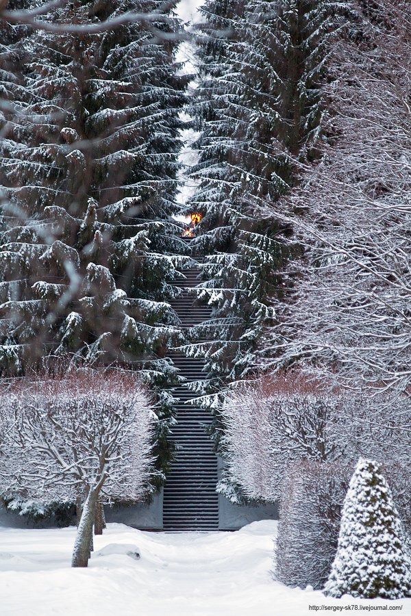 Зимний Петергоф Зимний Петергоф