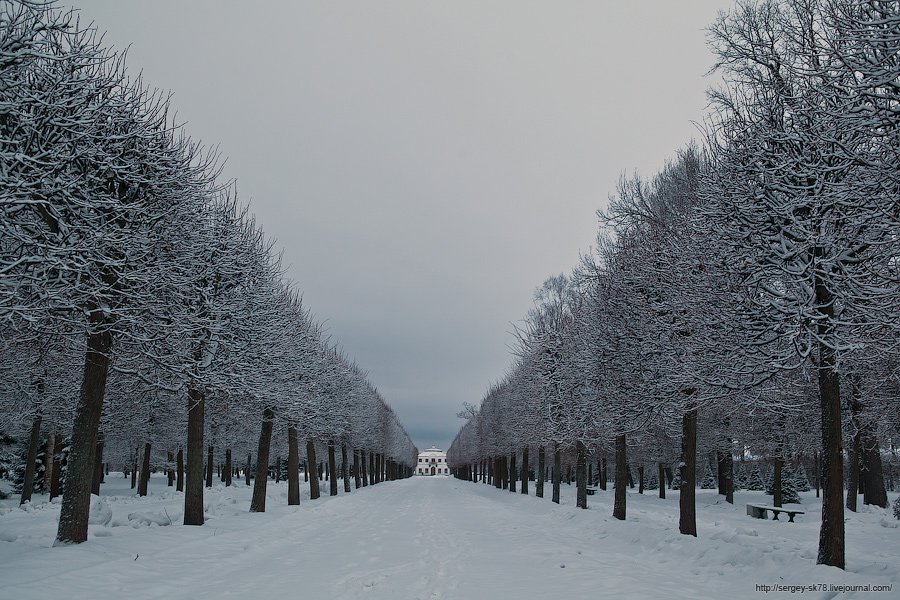 Зимний Петергоф Зимний Петергоф