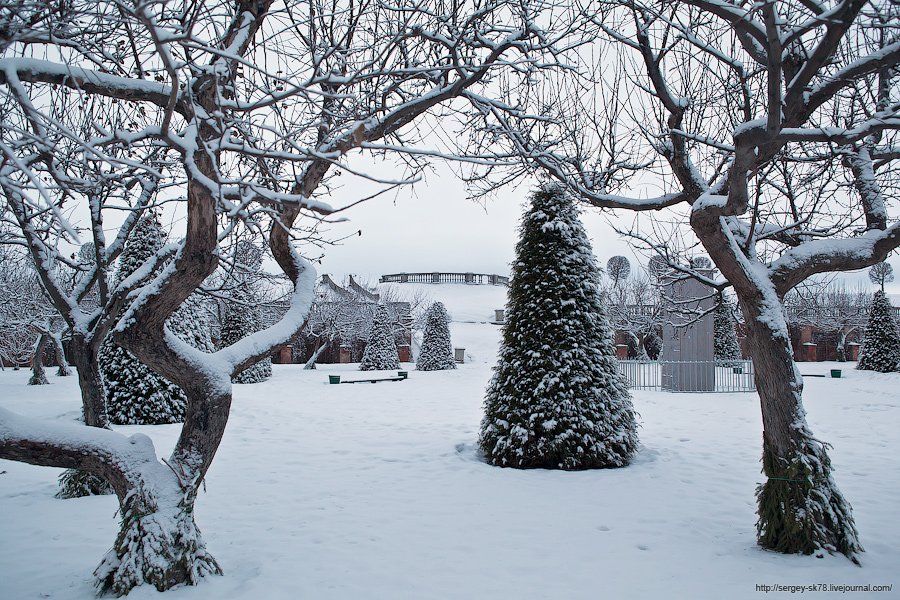 Зимний Петергоф Зимний Петергоф