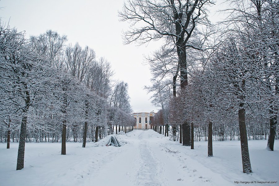 Зимний Петергоф Зимний Петергоф