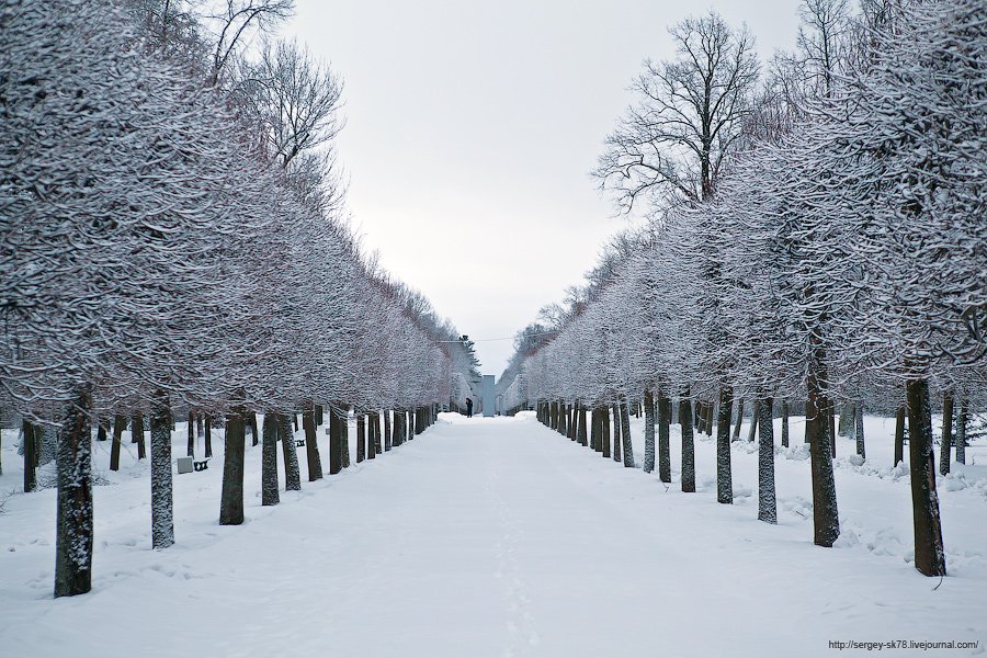 Зимний Петергоф Зимний Петергоф