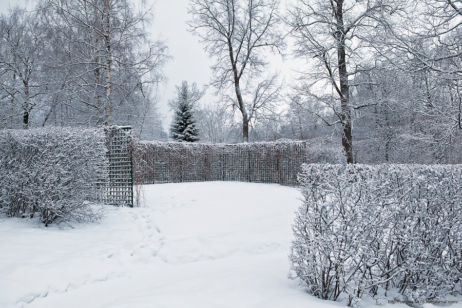 Зимний Петергоф Зимний Петергоф