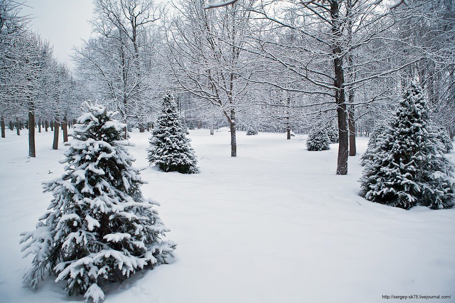 Зимний Петергоф Зимний Петергоф