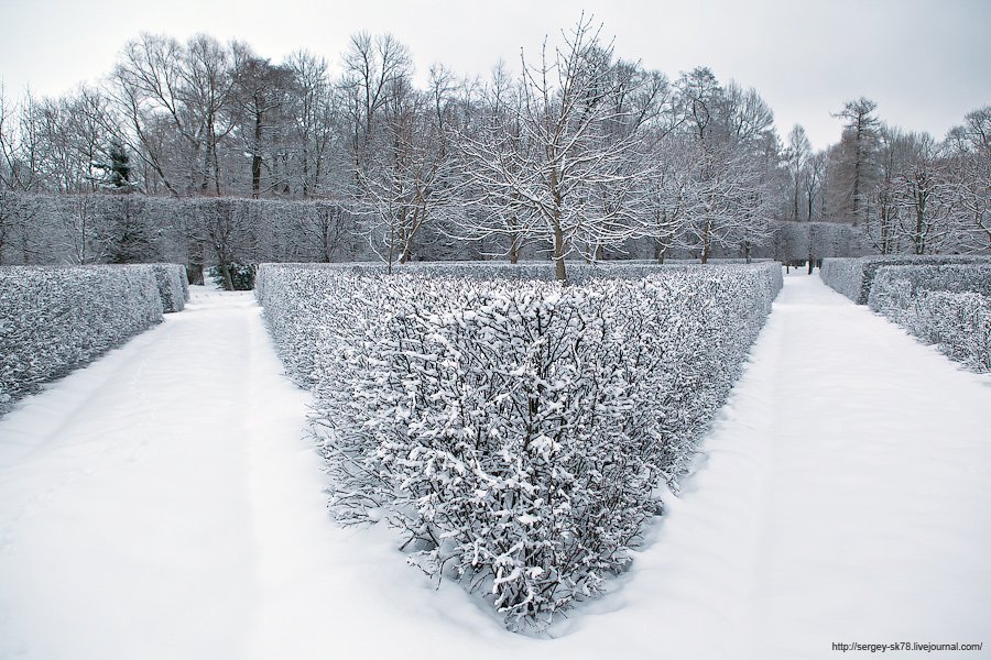 Зимний Петергоф Зимний Петергоф