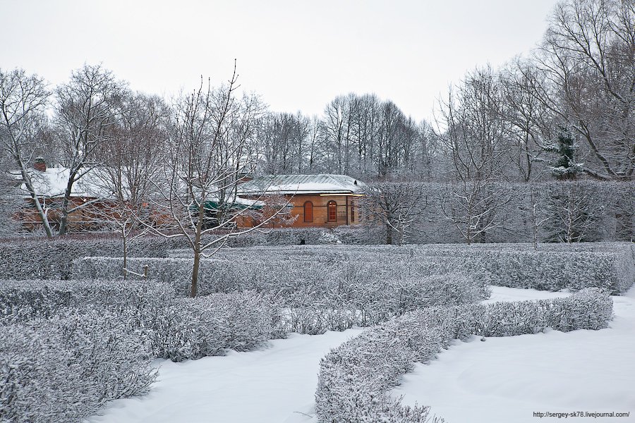 Зимний Петергоф Зимний Петергоф