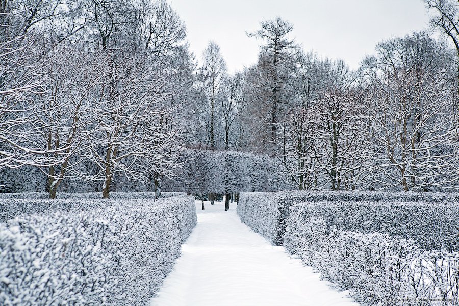 Зимний Петергоф Зимний Петергоф