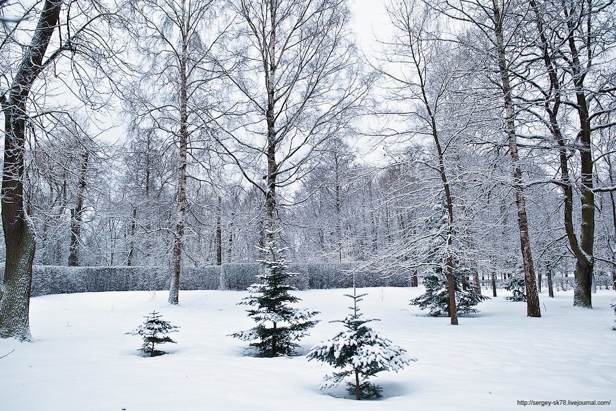 Зимний Петергоф Зимний Петергоф