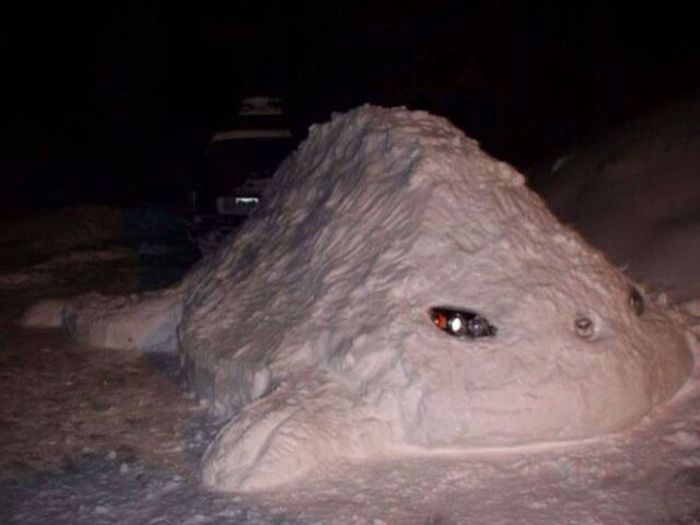 Автоюмор (60 фото)