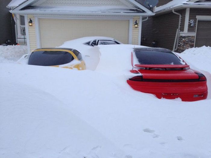 Автоюмор (60 фото)