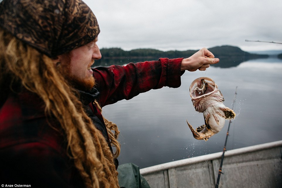 Жизнь на острове в окружении китов и медведей Жизнь на острове в окружении китов и медведей
