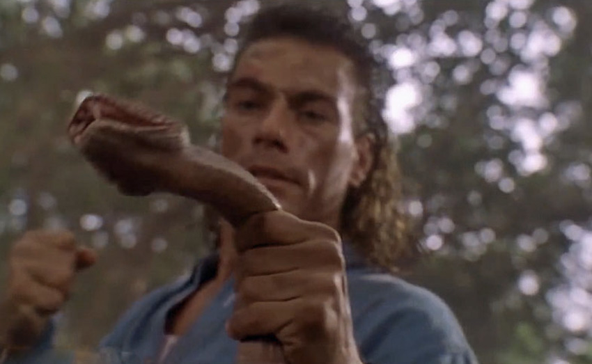 Киномифы о выживании, глупые и нелогичные Киномифы о выживании, глупые и нелогичные