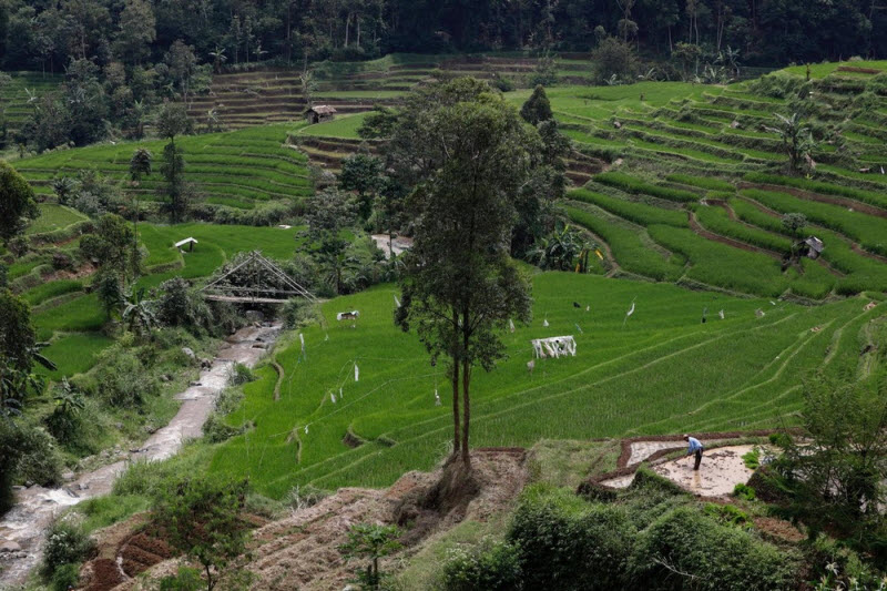 Правительство Индонезии собирается очистить самую грязную реку