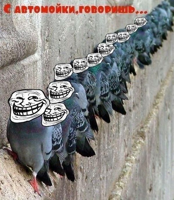 Авто-юмор. Часть 12 (40 фото)