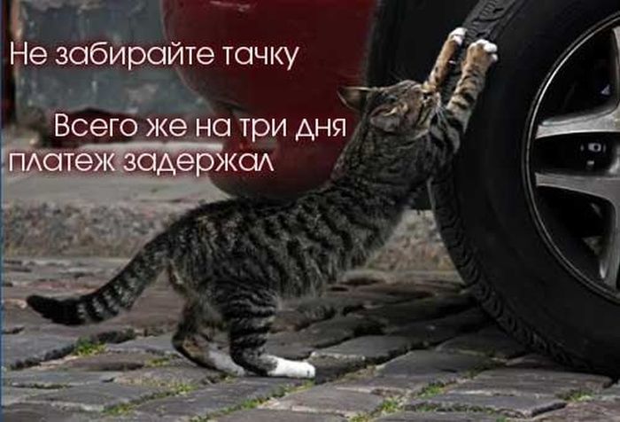 Авто-юмор. Часть 12 (40 фото)