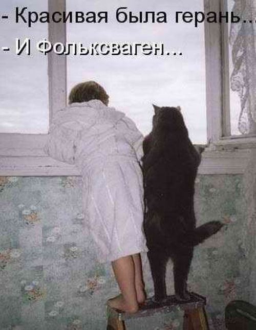 Авто-юмор. Часть 12 (40 фото)