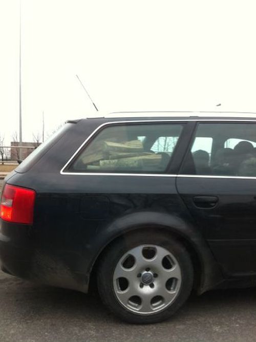 Авто-юмор. Часть 12 (40 фото)