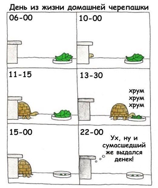 Смешные комиксы