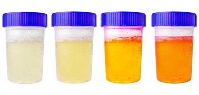 Интересные мифы и факты о воде Интересные мифы и факты о воде