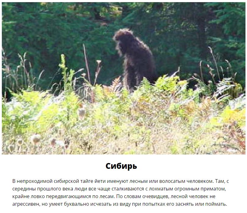Места, где можно встретить снежного человека