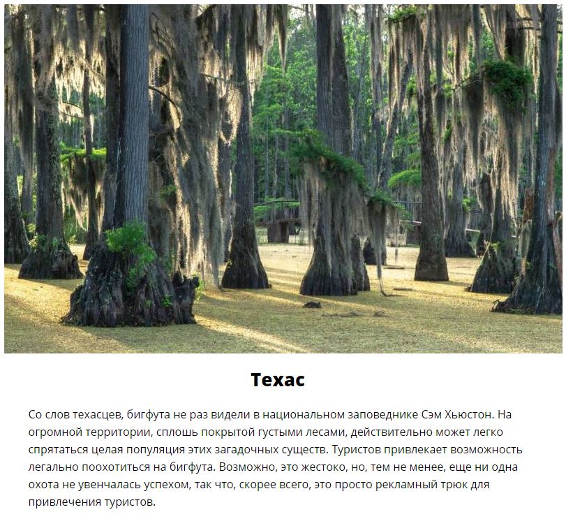 Места, где можно встретить снежного человека