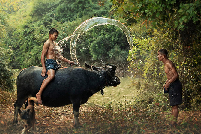 Таиланд в фотографиях Саравута Вансета (24 фото)