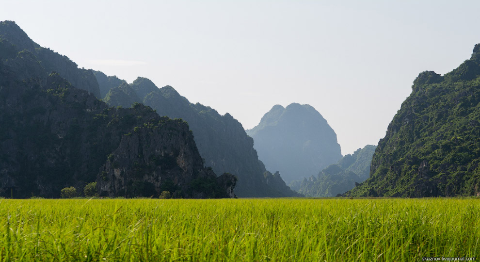 Заповедник водно-болотных угодий Ван Лонг Заповедник водно-болотных угодий Ван Лонг