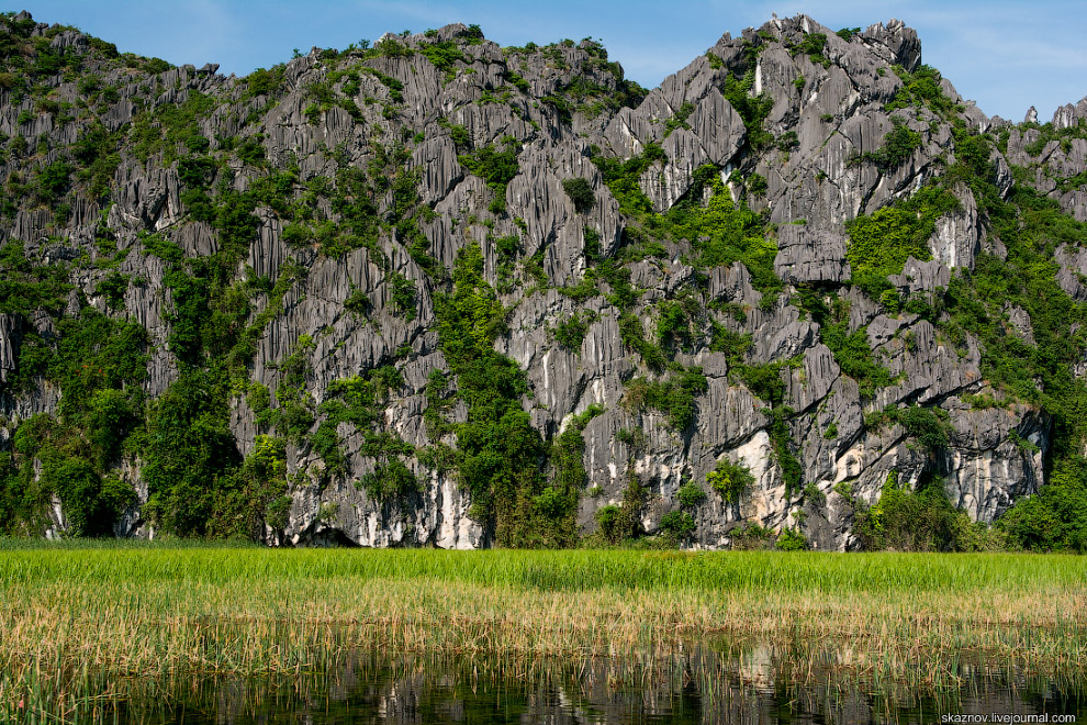 Заповедник водно-болотных угодий Ван Лонг Заповедник водно-болотных угодий Ван Лонг