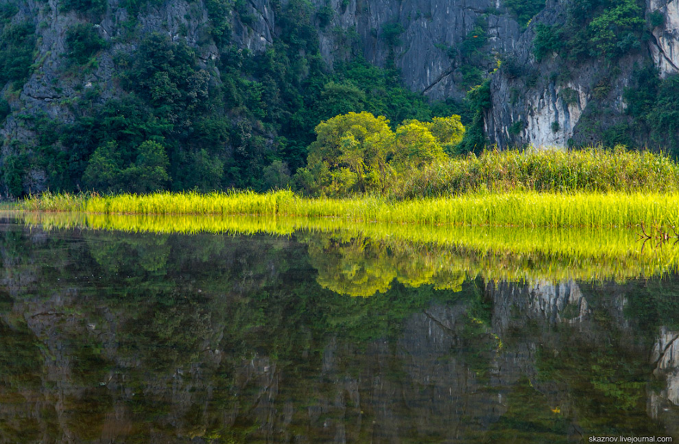 Заповедник водно-болотных угодий Ван Лонг Заповедник водно-болотных угодий Ван Лонг