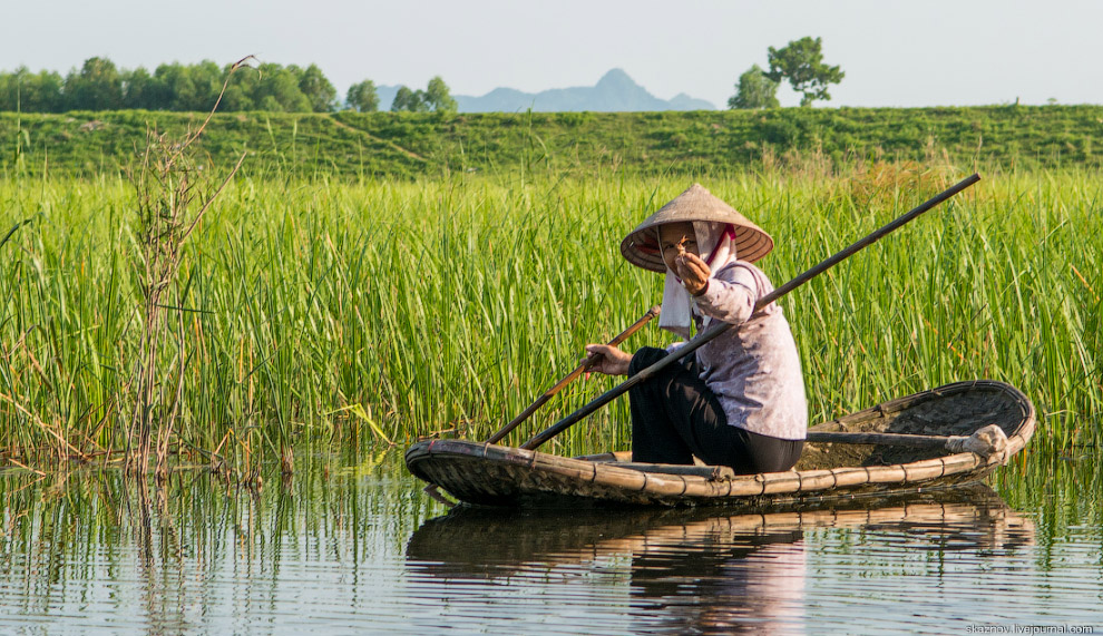 Заповедник водно-болотных угодий Ван Лонг Заповедник водно-болотных угодий Ван Лонг