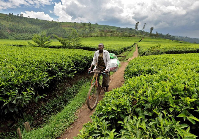 Африка от восхода до заката (31 фото)