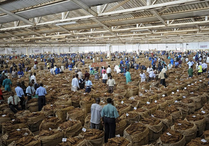 Африка от восхода до заката (31 фото)