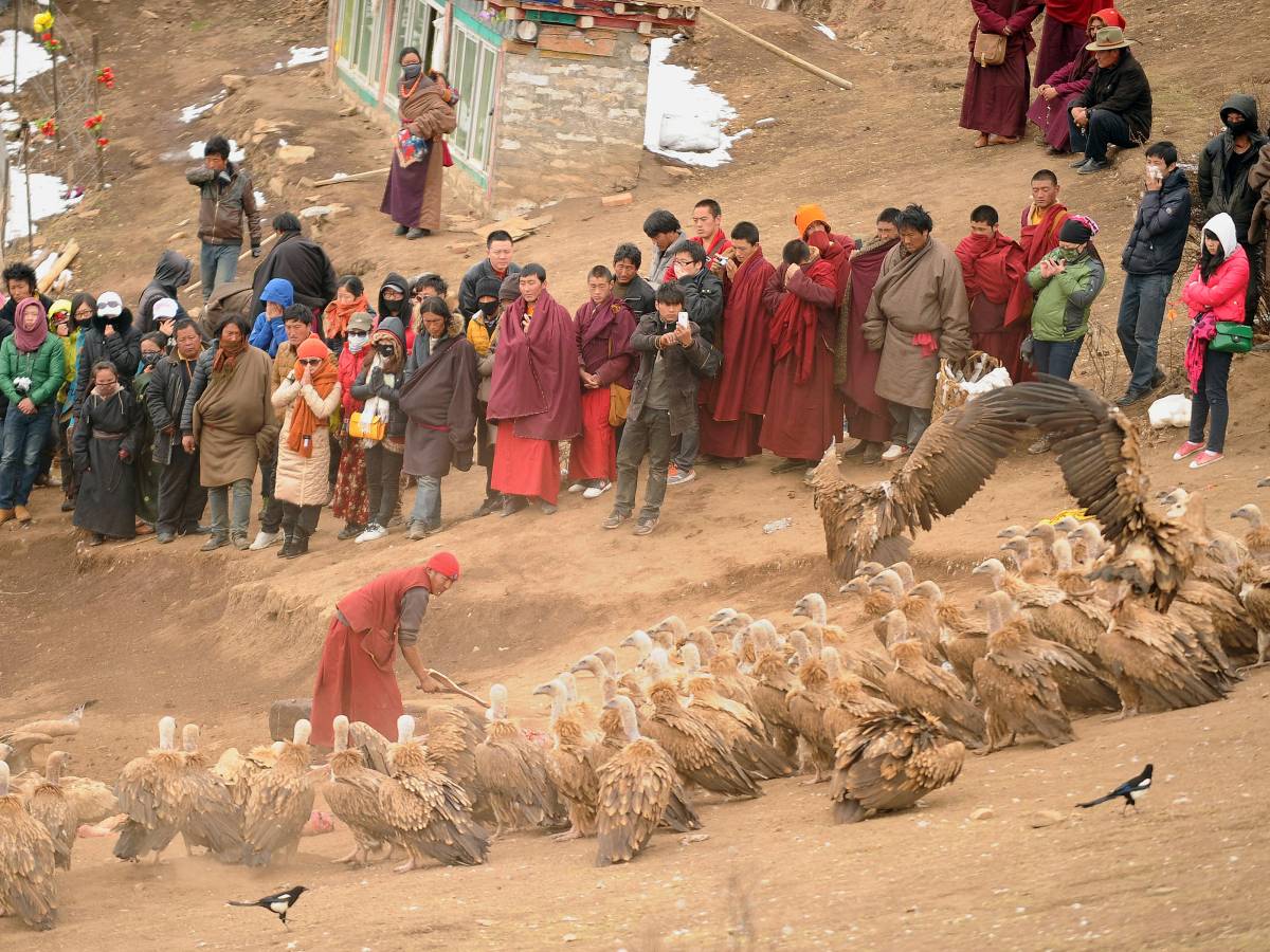 Самые странные погребальные обряды