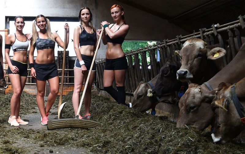 Упругие жены баварских и австрийских фермеров