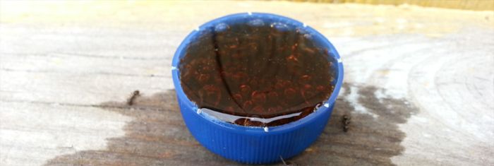 Муравьи и пепси