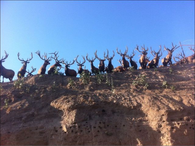 Прикольные картинки