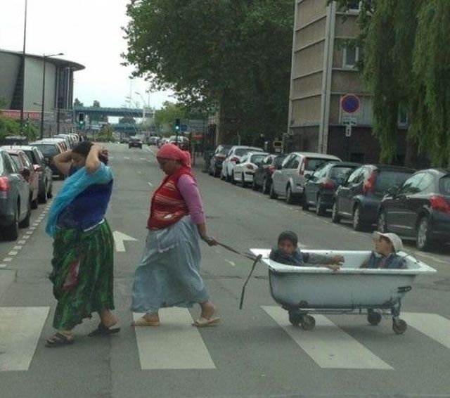 Прикольные картинки