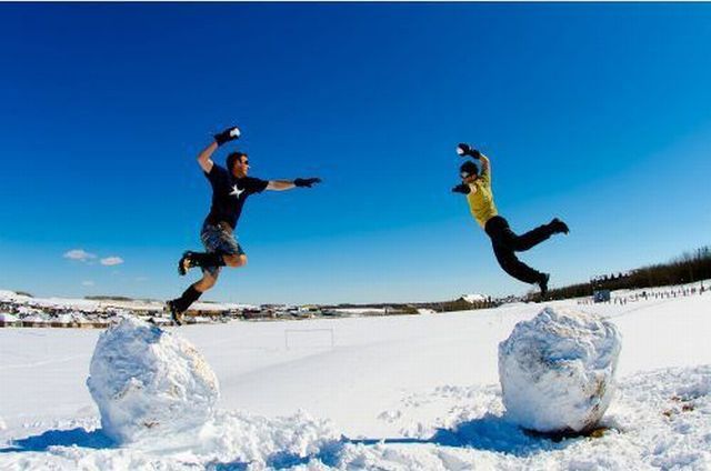 Прикольные картинки