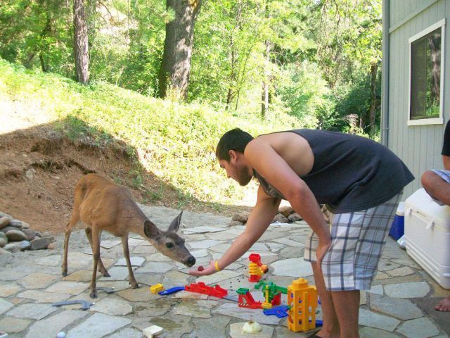 Прикольные картинки