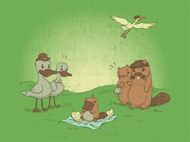 Прикольные картинки