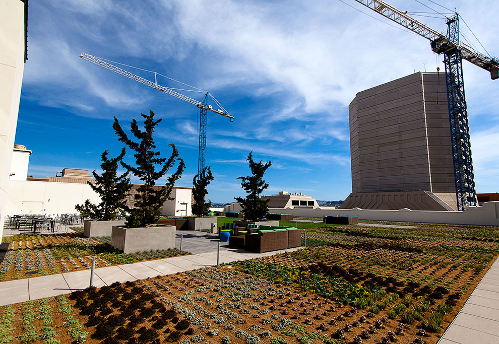 Штаб-квартира компании Твиттер